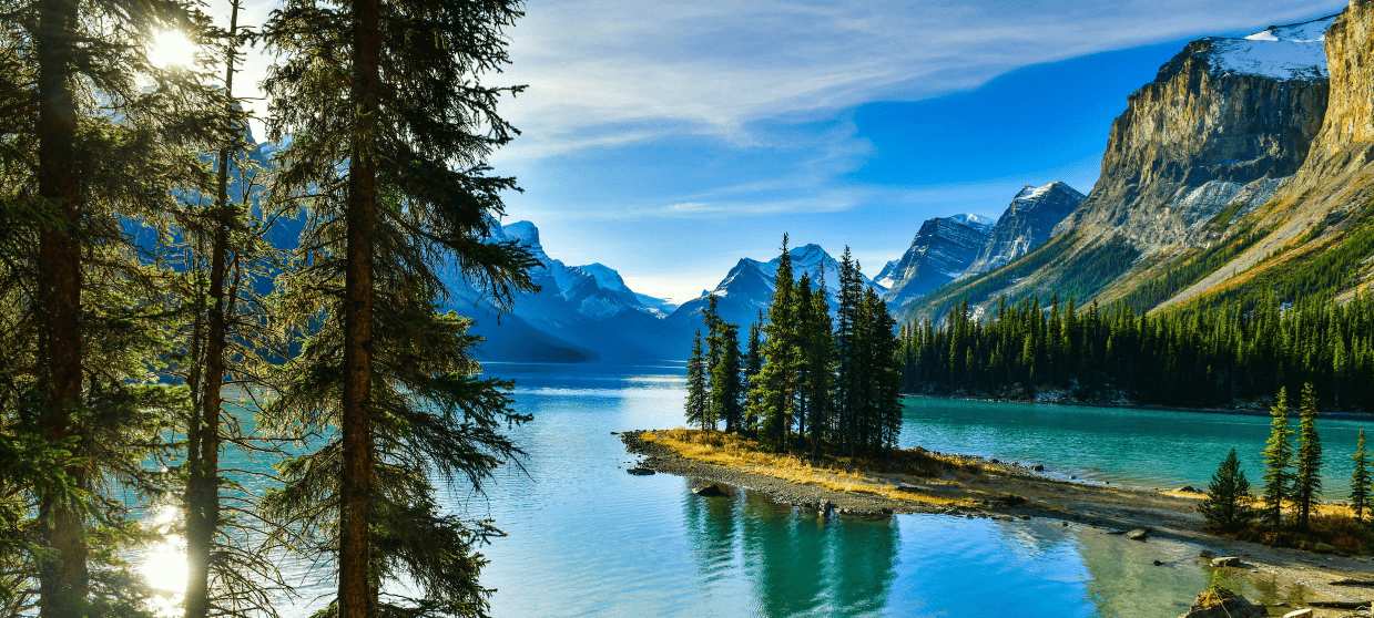 Supplementen van Ergomax: wat maakt ze bijzonder en hoe kies je wat bij je past?