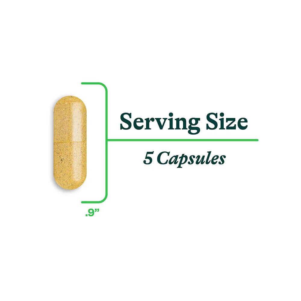 Gut Nutrients capsules – verpakking met 150 capsules