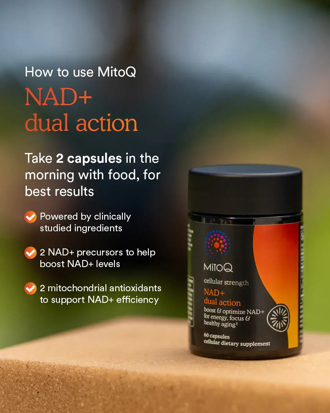 MitoQ NAD+ Dual Action – 60 Kapseln