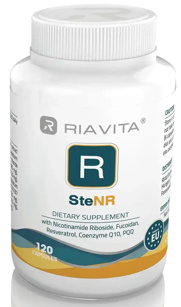 SteNR supplement met 120 capsules.