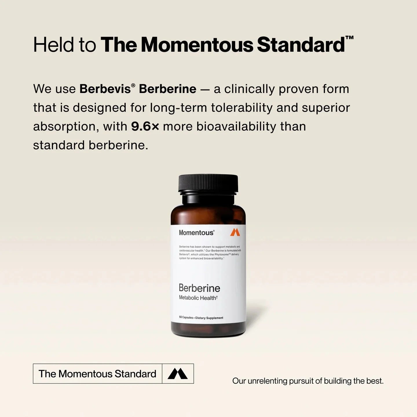 Berberine - 60 capsules - Newtra