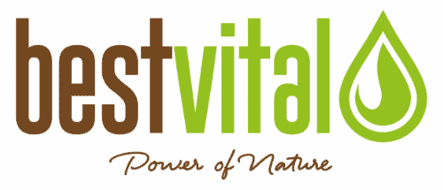 LOGO BestVital Ergomax