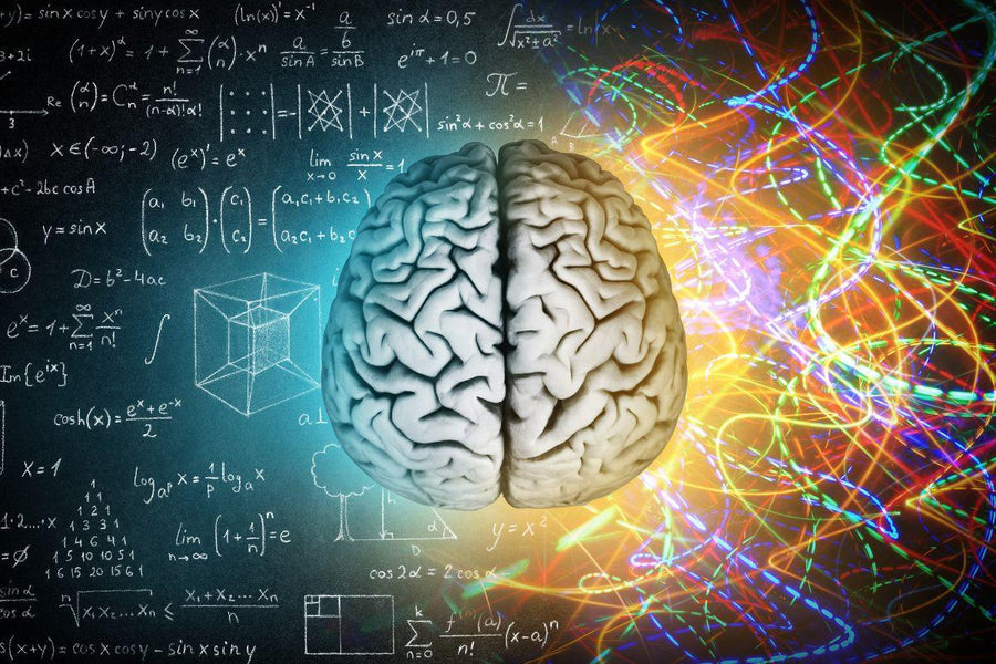 3 manieren om je hersenen te optimaliseren oftewel 3 brain hacks - Ergomax