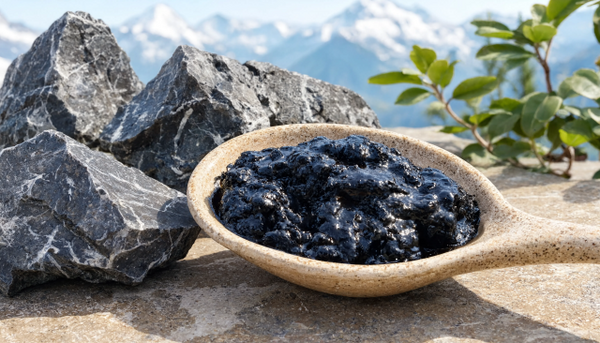 Shilajit in een houten lepel naast rotsblokken in de bergen