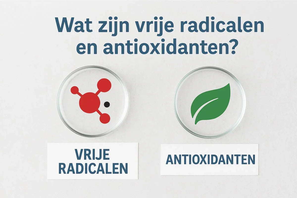 Wat zijn vrije radicalen en antioxidanten?