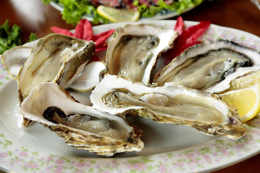Verse oesters op een bord met citroen
