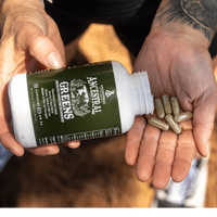 Capsules Ancestral Greens die uit de pot in een hand worden geschud
