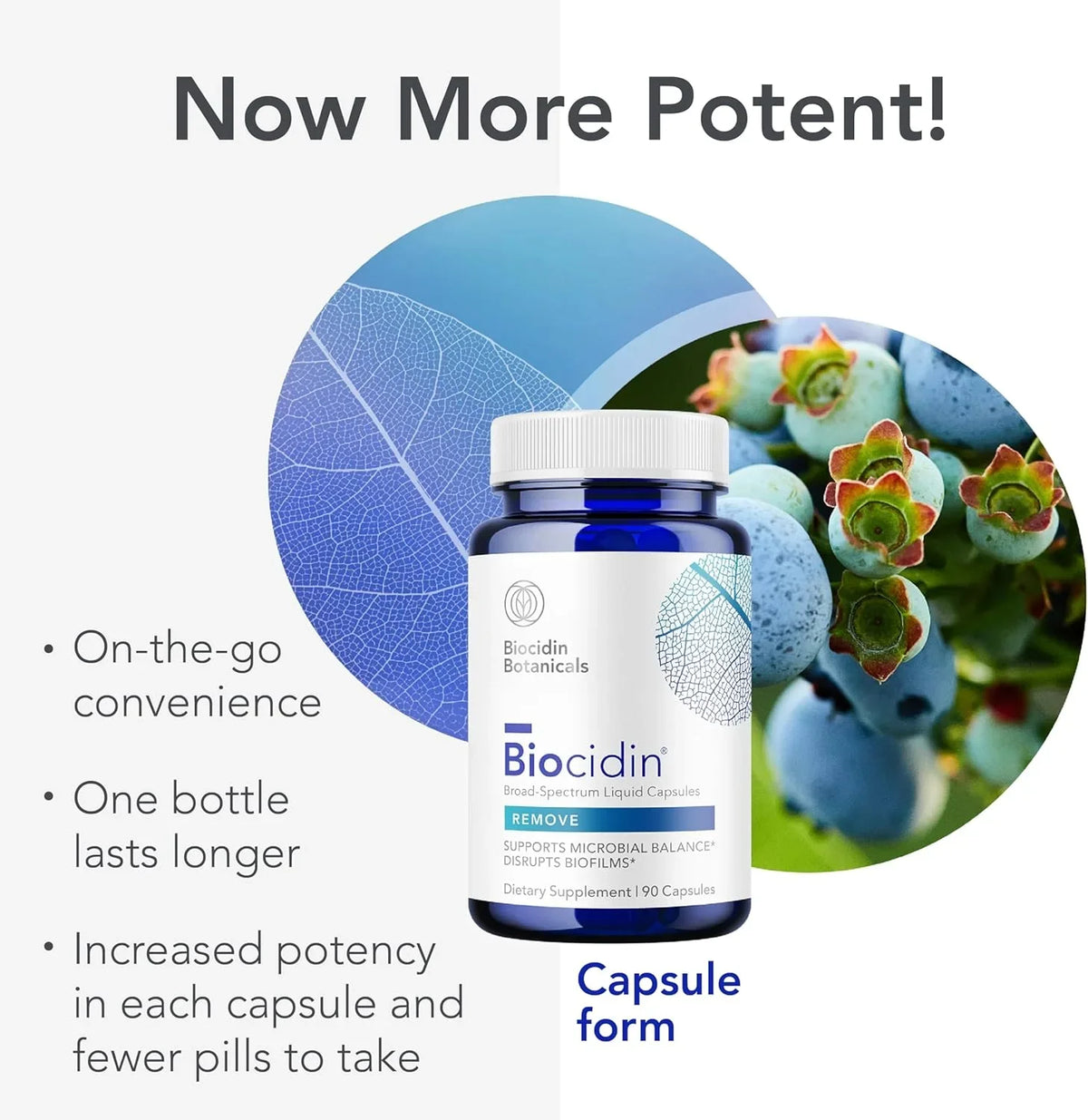 Biocidin Kapseln – Supplement in der Verpackung
