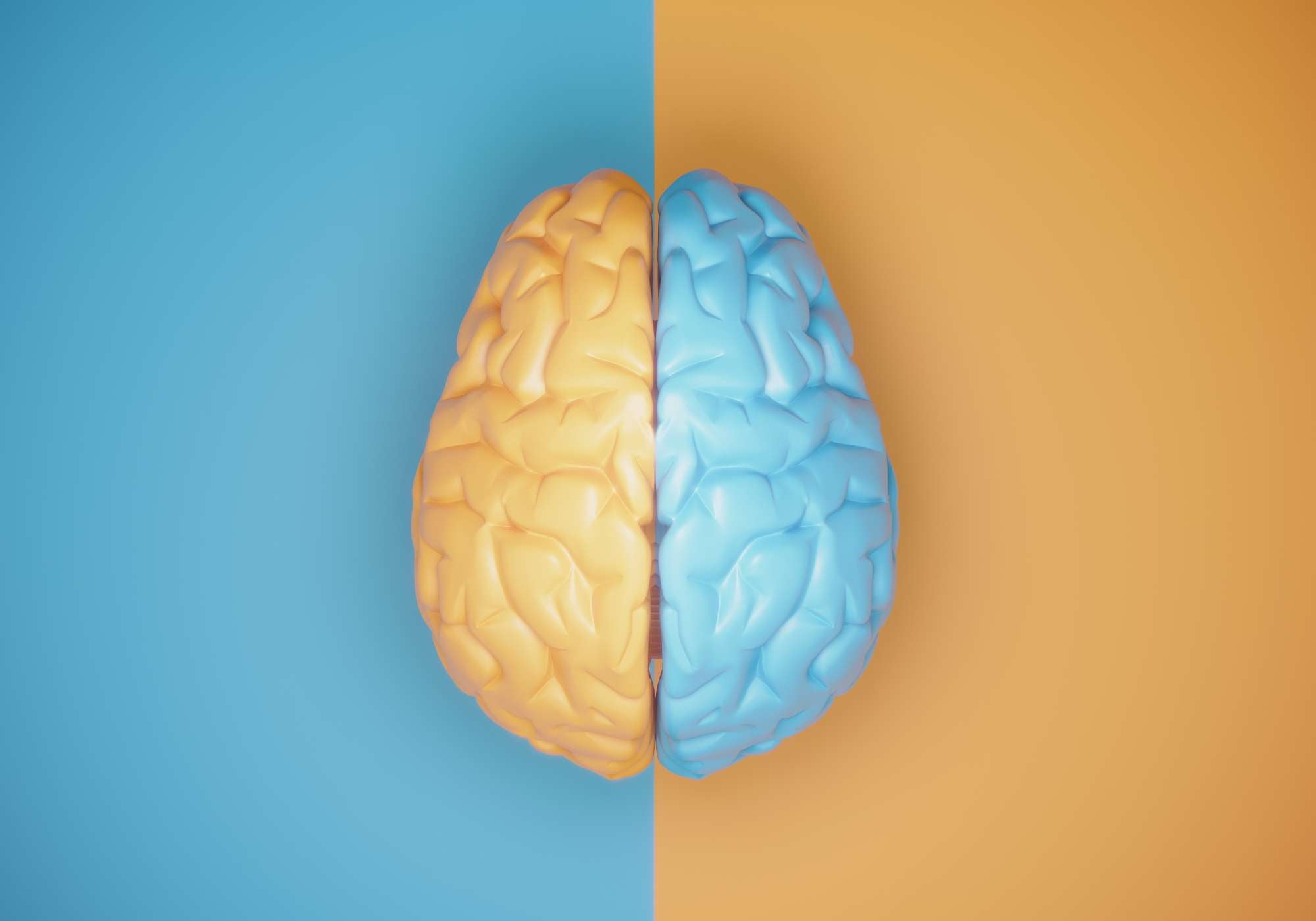 Hersenen - Supplementen voor cognitieve functies