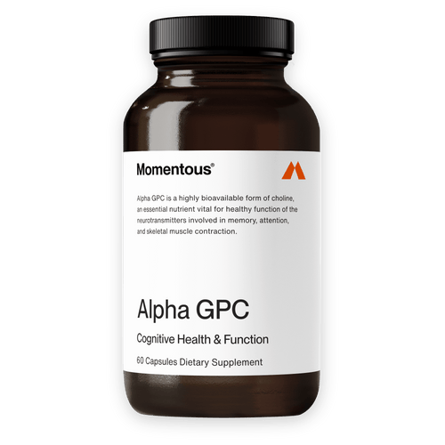 Alpha GPC - 60 Kapseln