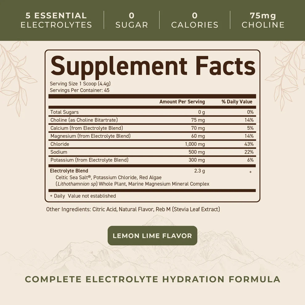 Ancestral Electrolytes - 200 Gramm