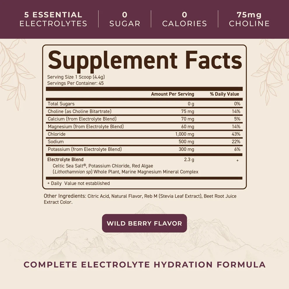 Ancestral Electrolytes - 200 Gramm