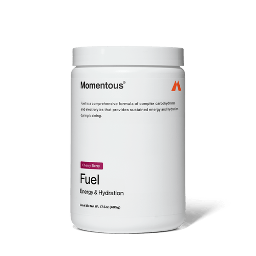 Fuel - 484 Gramm