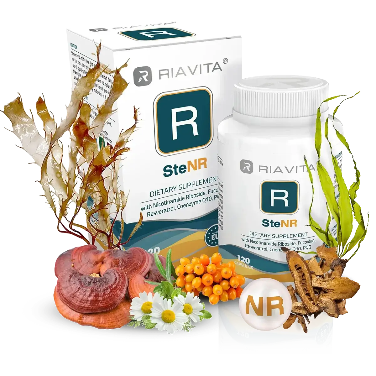 SteNR supplement met 120 capsules.